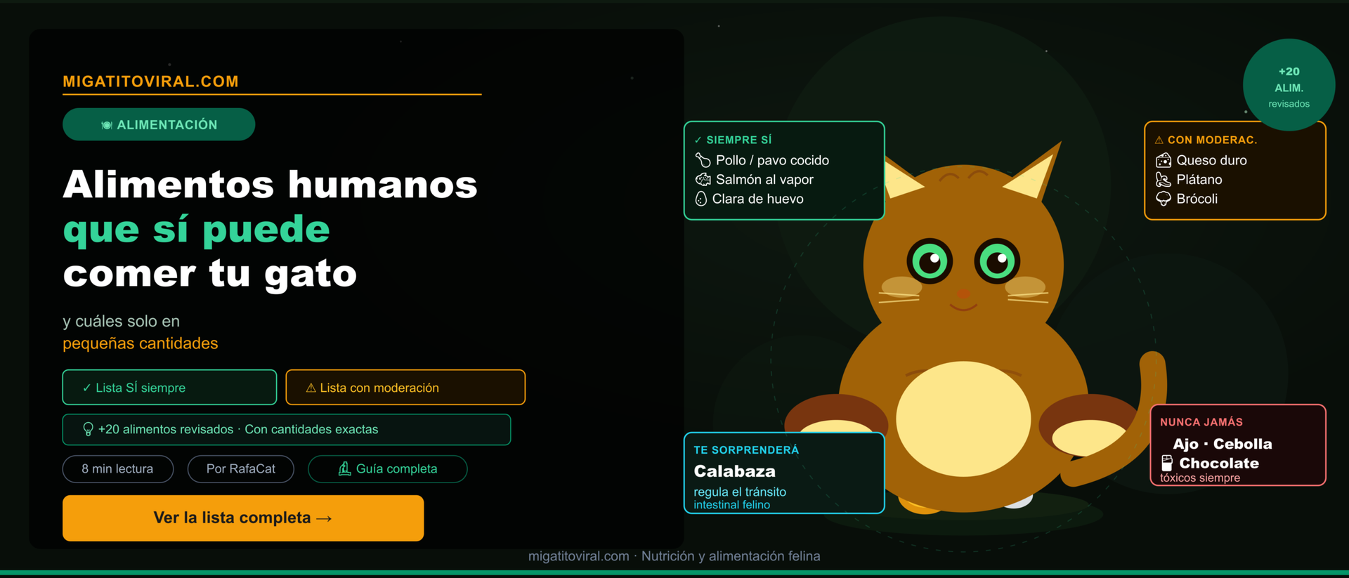 Alimentos humanos que puede comer tu gato con seguridad Pollo cocido desmenuzado en