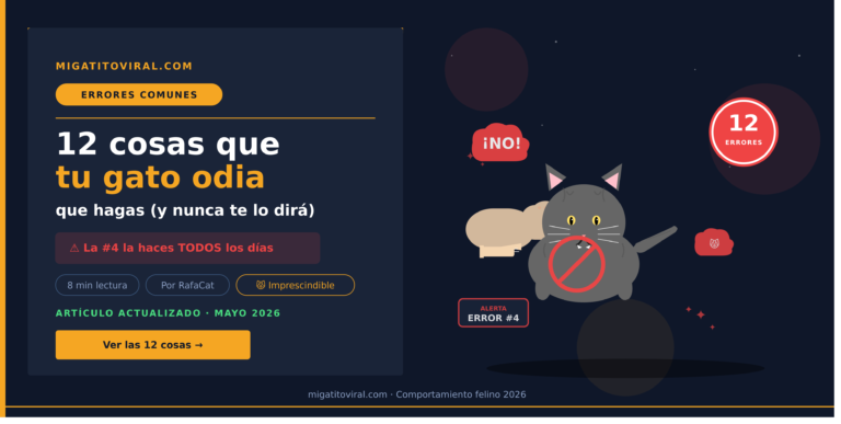 Cosas que tu gato odia que hagas según la etología felina