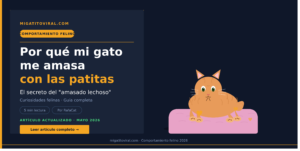 Por qué mi gato me amasa con las patitas sobre una manta suave