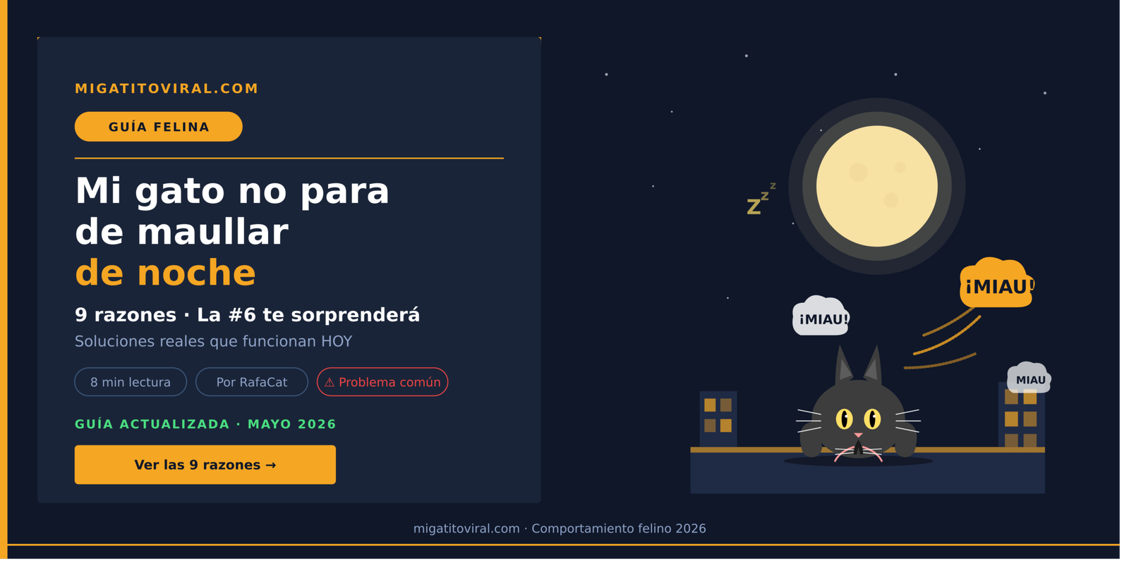 Mi gato no para de maullar de noche