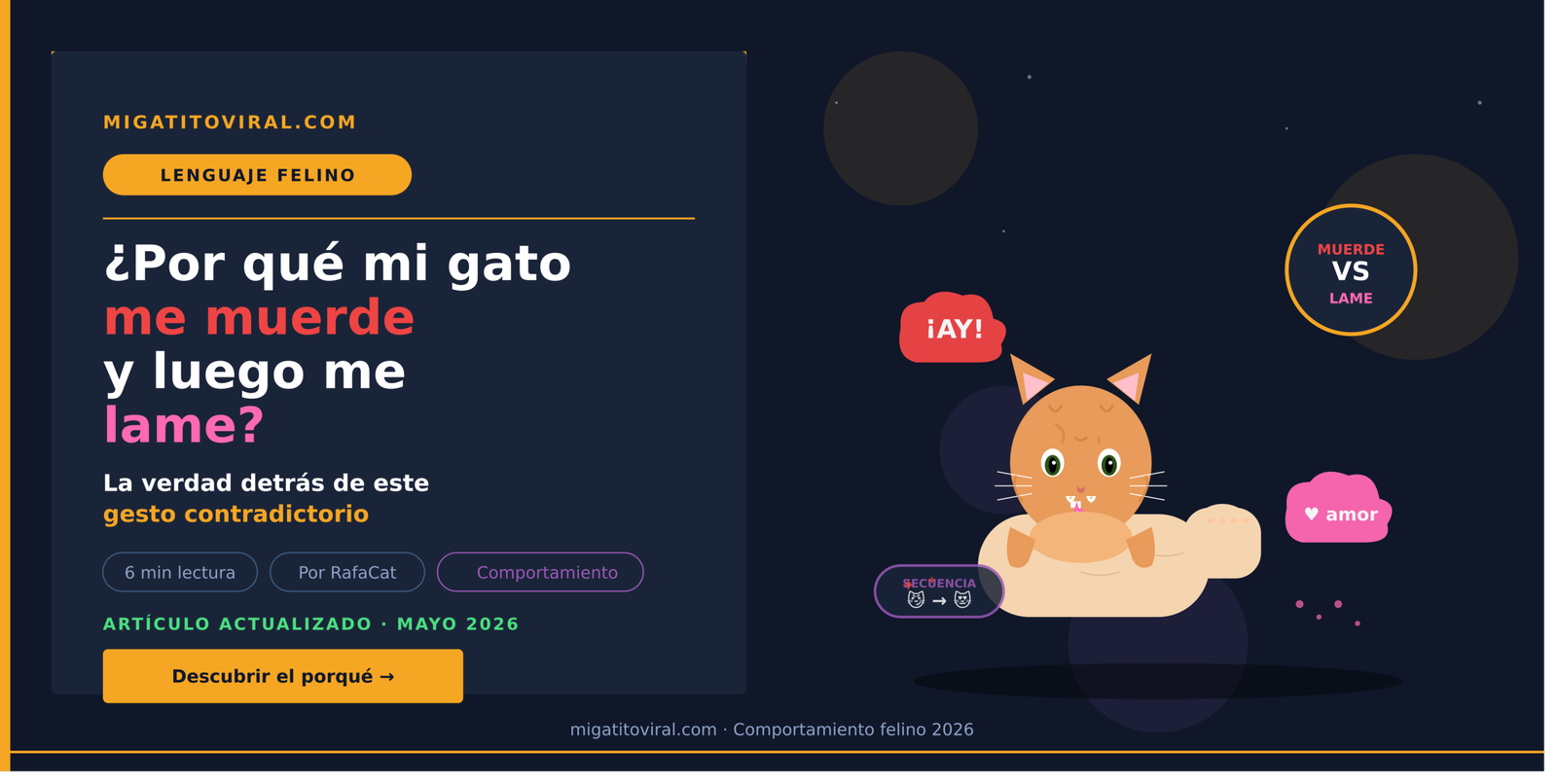 Por qué mi gato me muerde y luego me lame con cariño