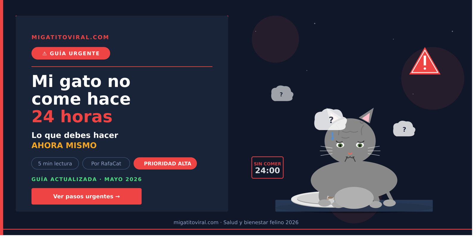 Mi gato no come hace 24 horas, comedero sin tocar