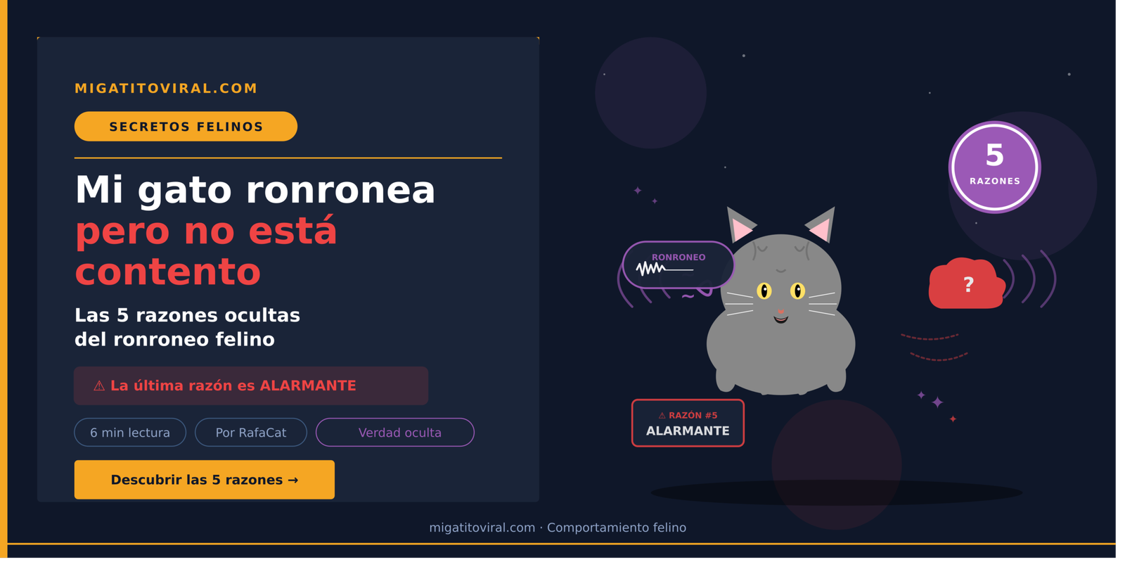 Mi gato ronronea pero no está contento con expresión tensa