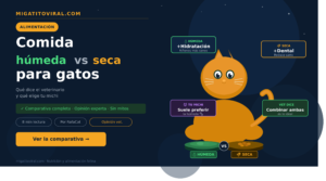 Comida húmeda vs seca para gatos comparativa veterinaria