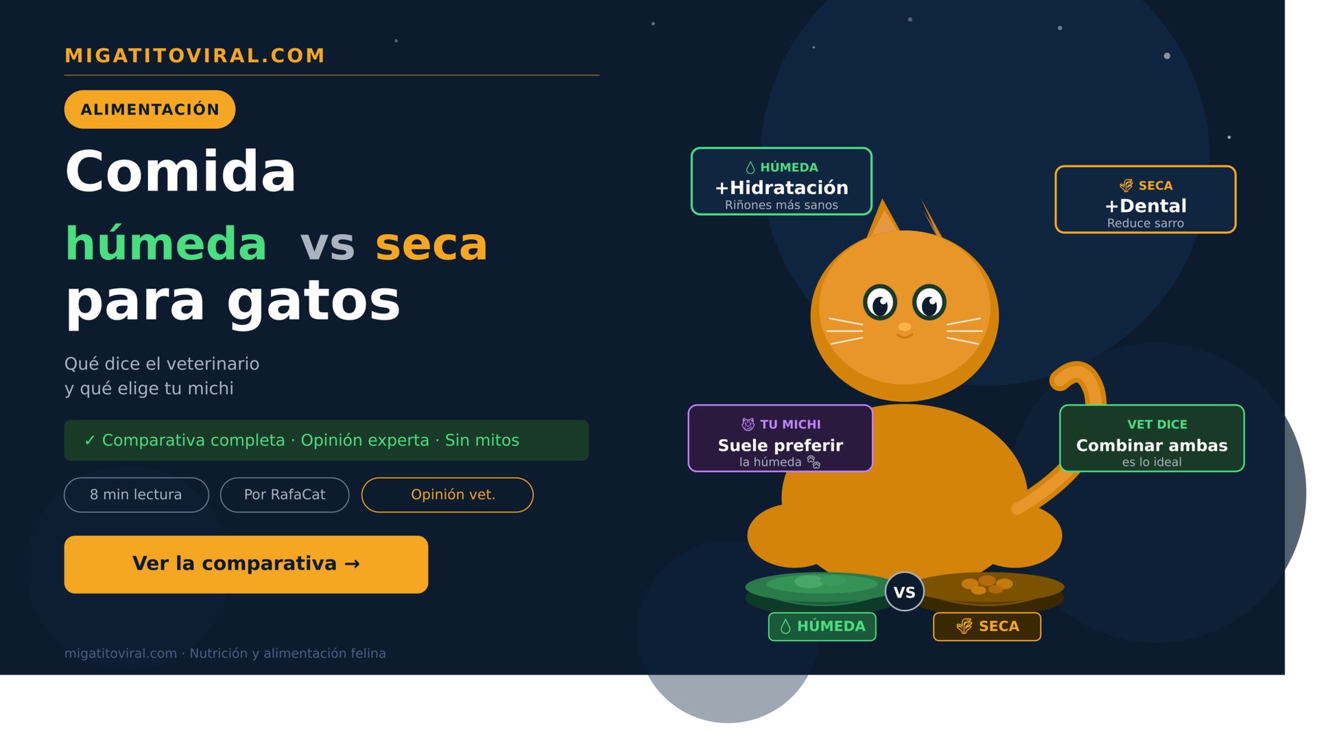 Comida húmeda vs seca para gatos comparativa veterinaria