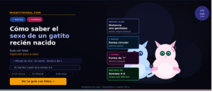 Cómo saber el sexo de un gatito recién nacido método visual