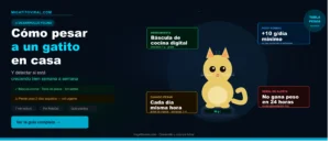 cómo pesar a un gatito en casa