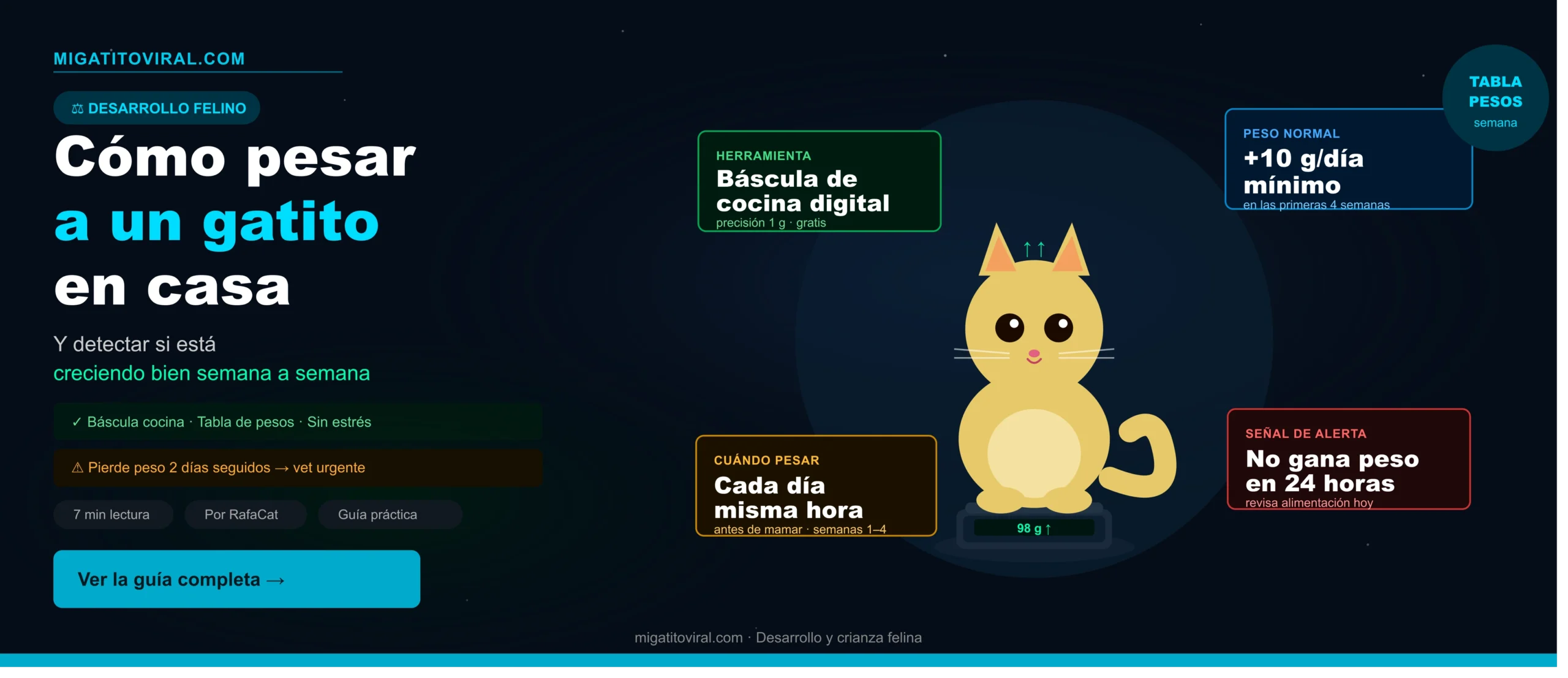 cómo pesar a un gatito en casa