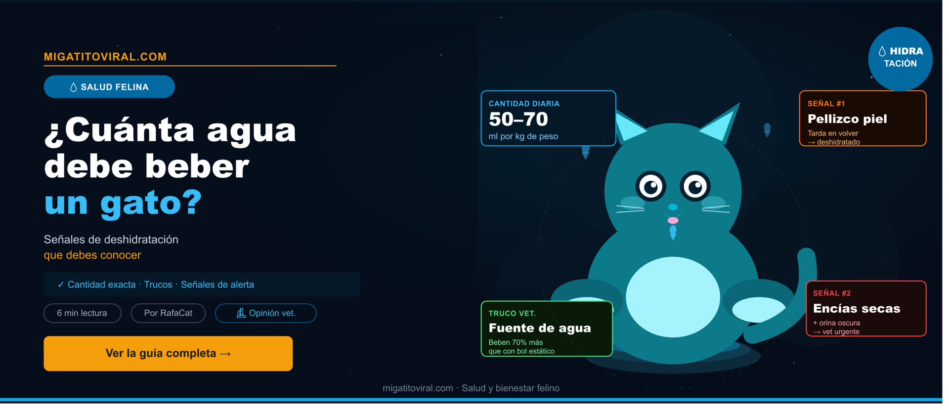 Cuánta agua debe beber un gato al día según peso y dieta