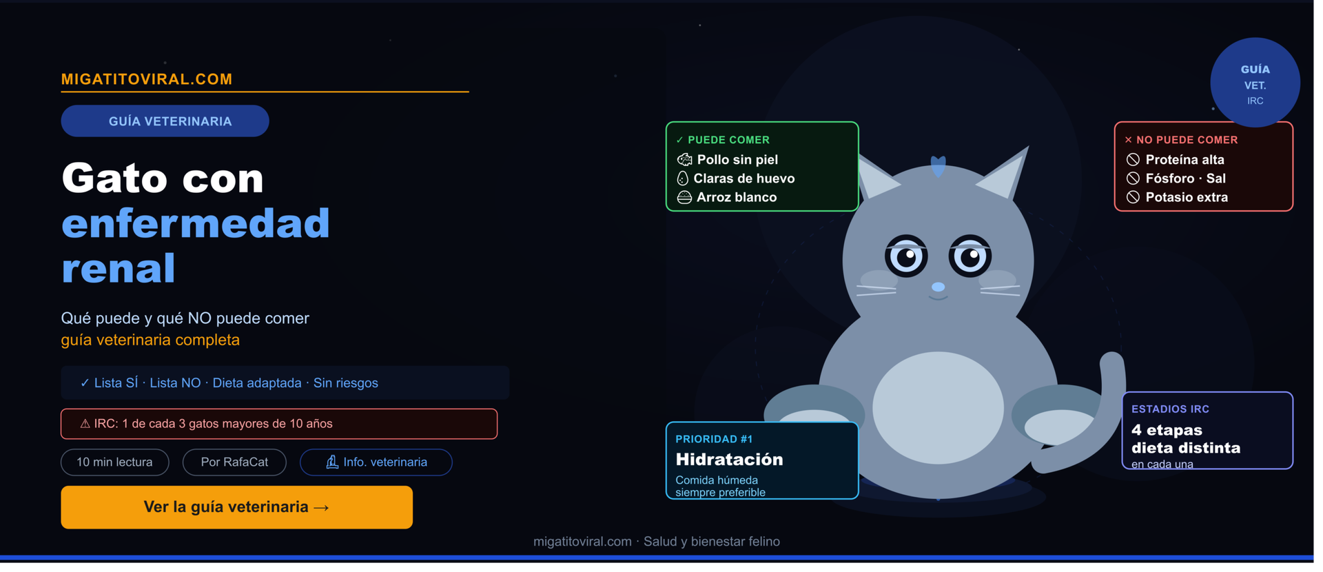 Gato con enfermedad renal alimentación adecuada