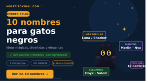 Nombres para gatos con ideas mágicas y elegantes