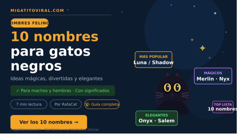 Nombres para gatos con ideas mágicas y elegantes