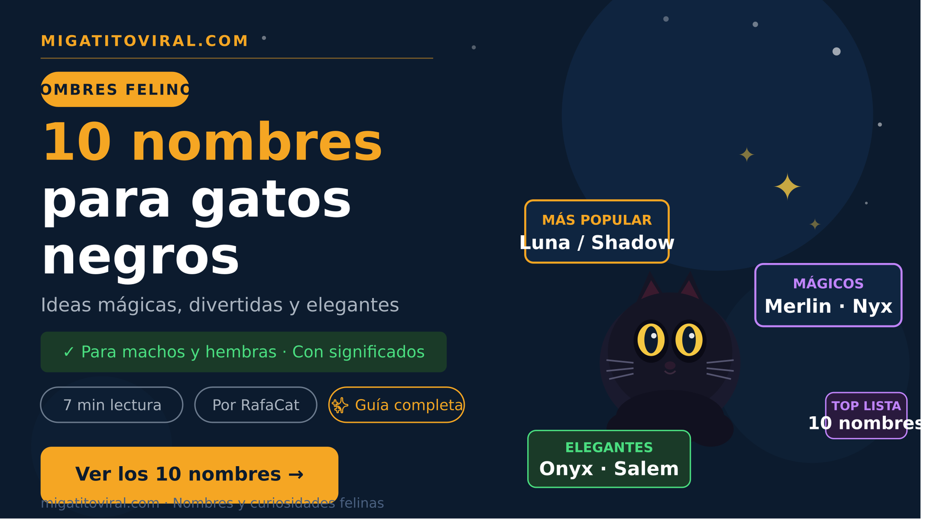 Nombres para gatos con ideas mágicas y elegantes