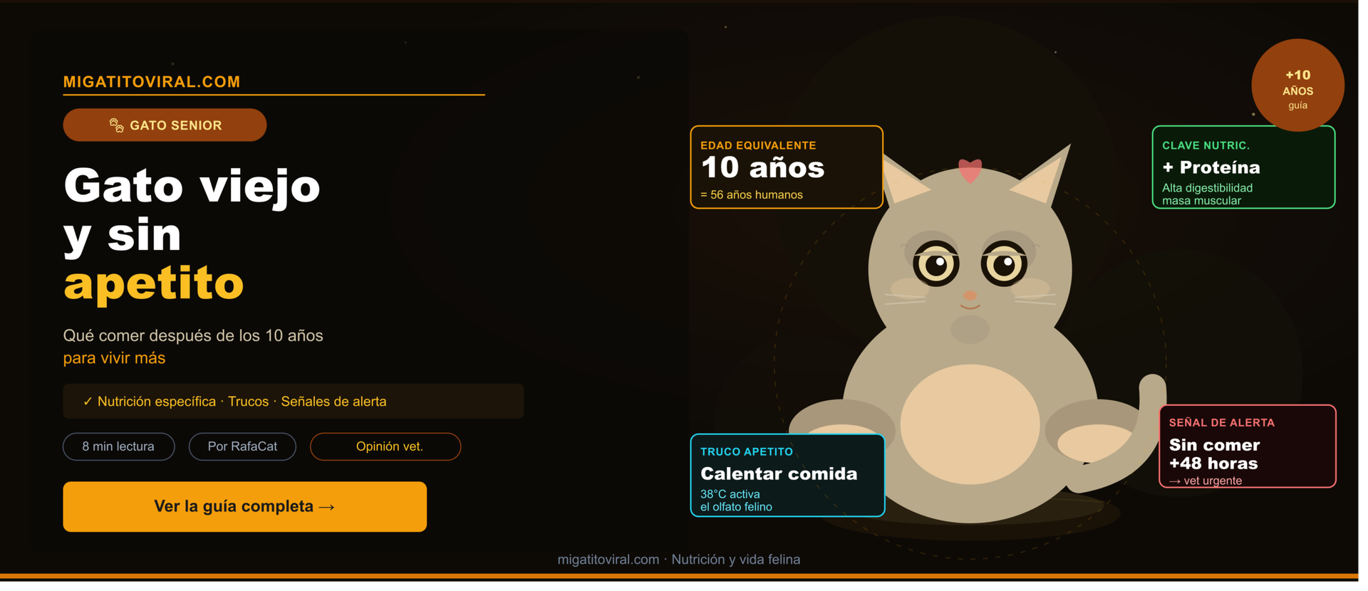 Gato viejo y sin apetito frente a su comedero