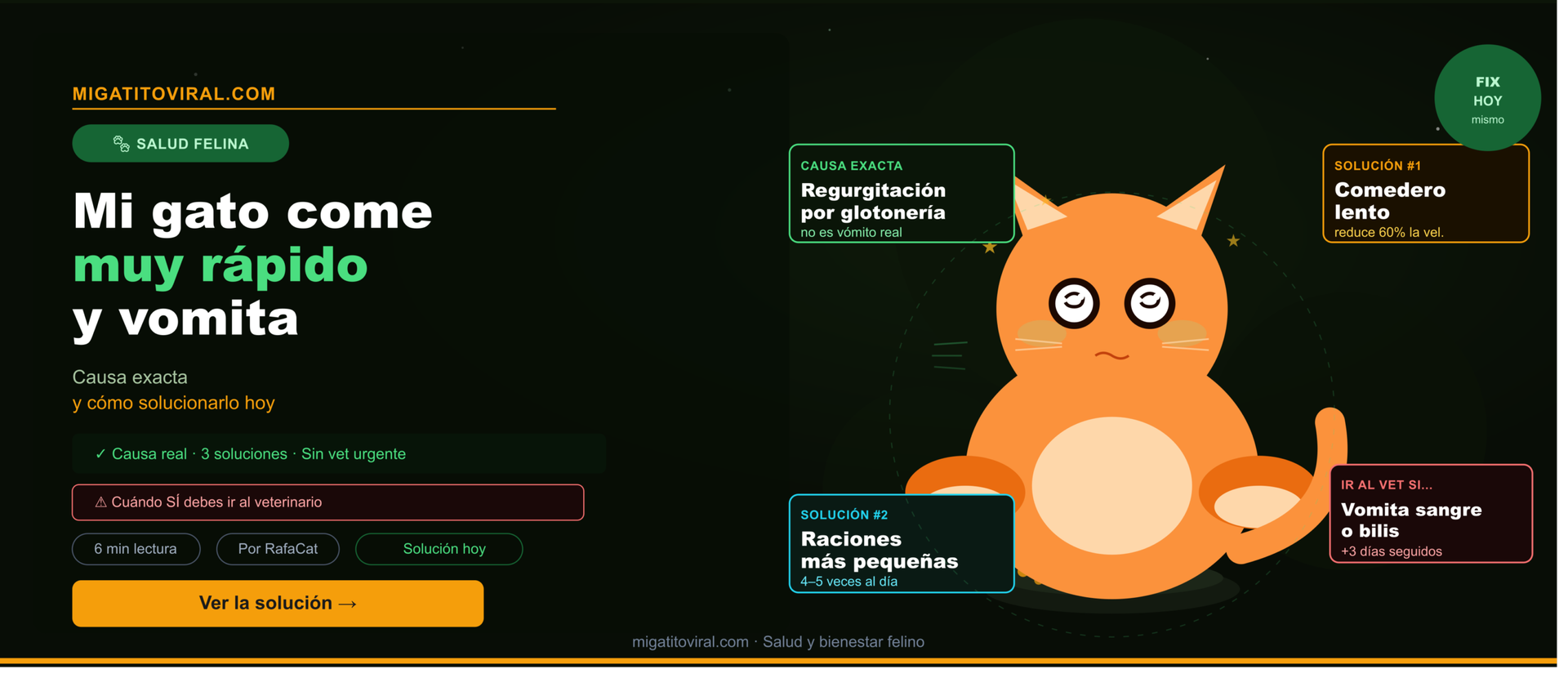 Mi gato come muy rápido y vomita después de comer