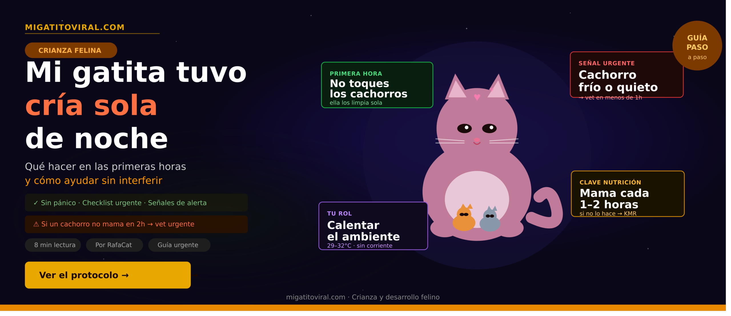 Mi gatita tuvo cría sola de noche con su camada en el nido
