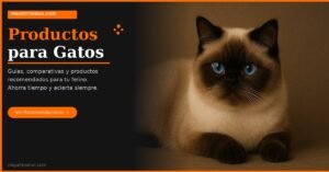 productos para gatos recomendados