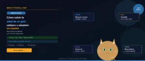 como saber la edad de un gato callejero o adoptado sin papeles